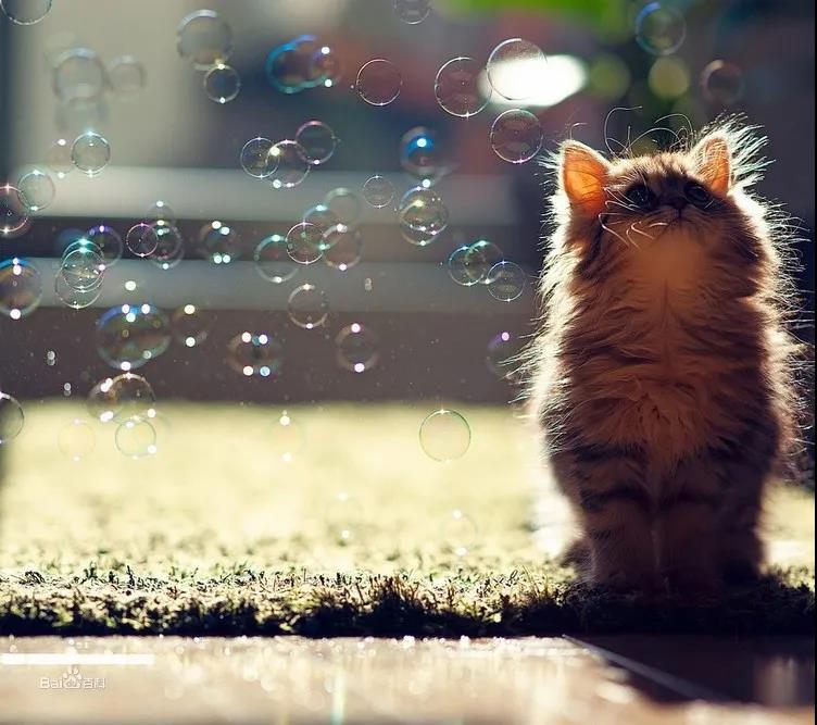 有关成长:利用非线性成长,实现人生跃迁