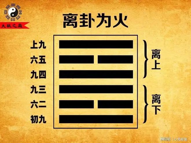 九紫离火运下的心理学机遇：企业如何借势破局？