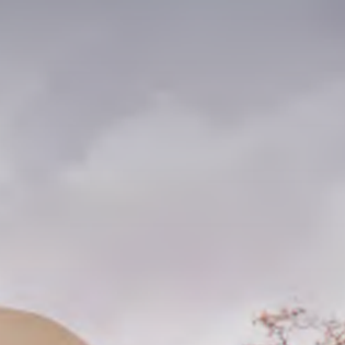 美国凯泽大学中文线上MBA