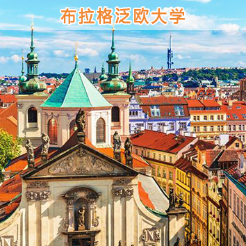 工商管理博士（DBA）