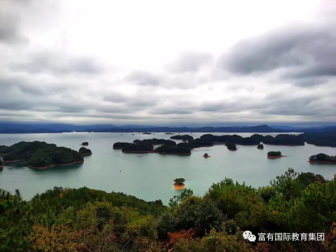 1608022769120067.jpg 1608022769120067.jpg