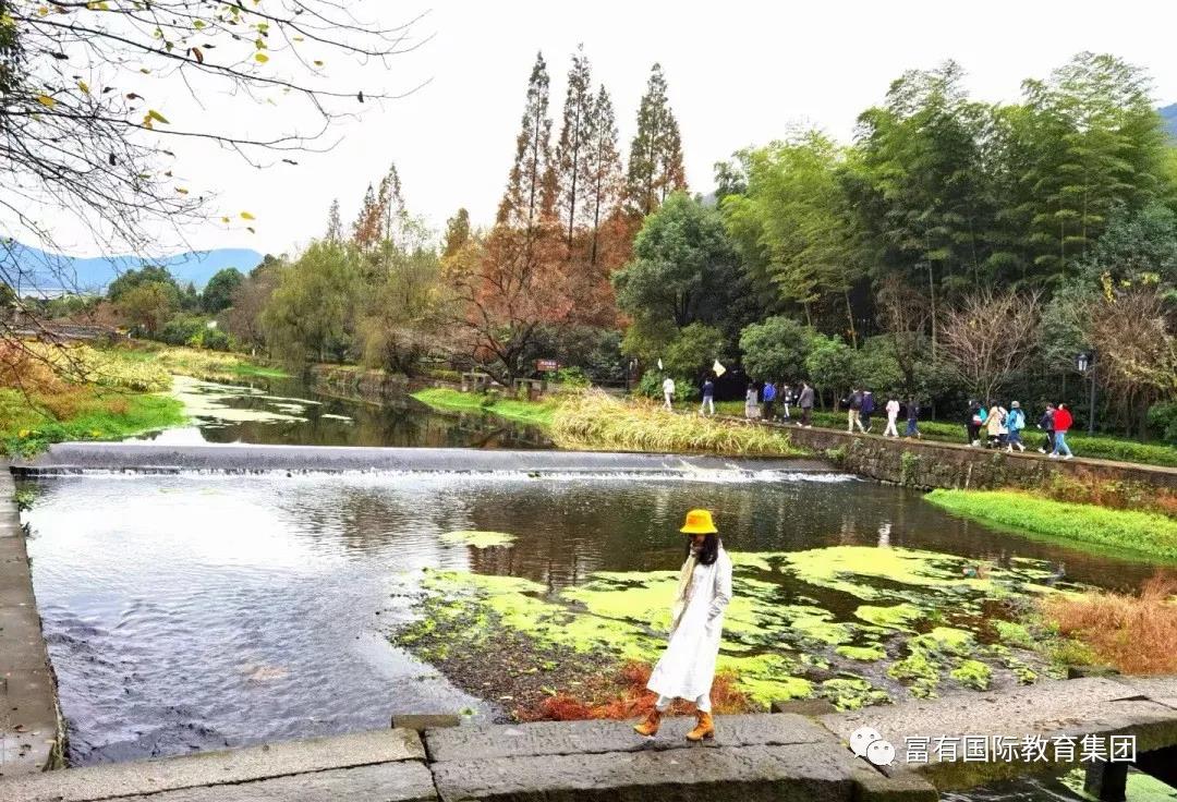 1608023086129146.jpg 1608023086129146.jpg