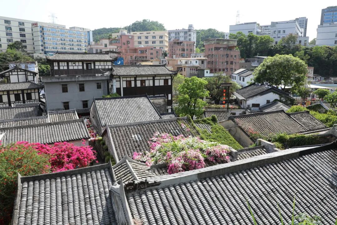 1650511689671338.jpg 微信图片_20220421095139.jpg