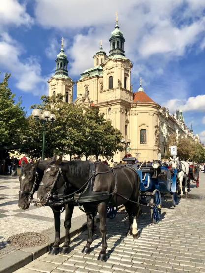 1656664054467884.png 1656664054467884.png