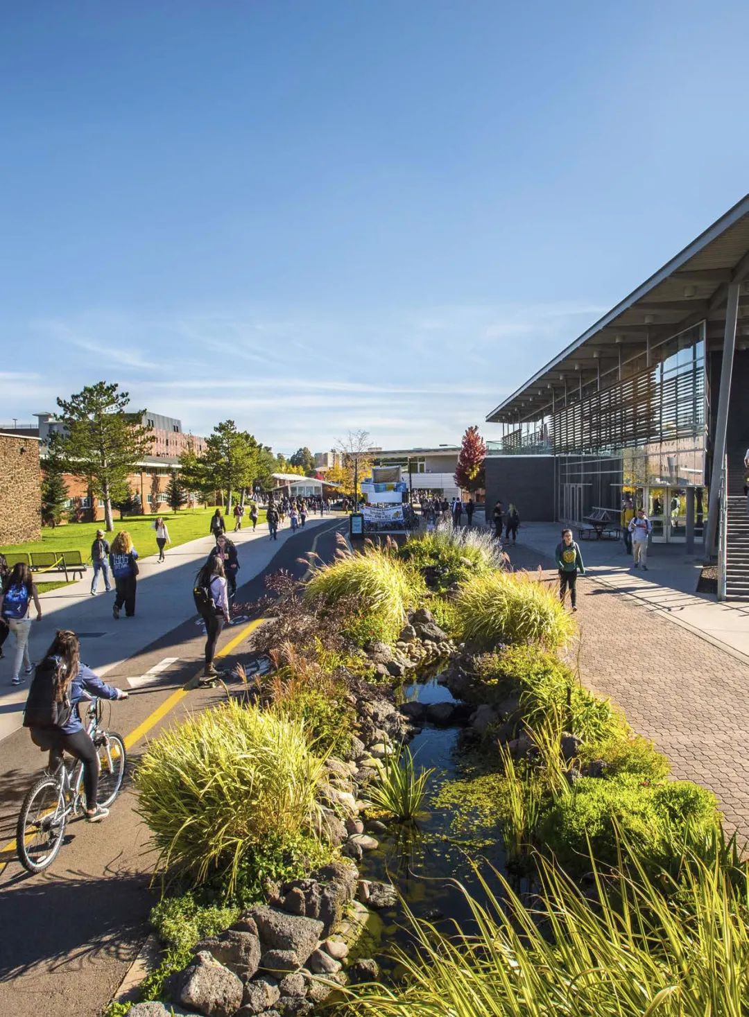 1672381428966708.jpg 1672381428966708.jpg