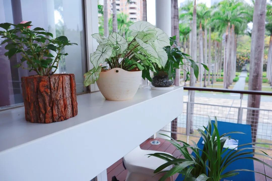 1680575660129865.jpg 1680575660129865.jpg