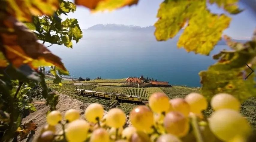 1687744780466163.jpg 微信图片_20230626095609.jpg