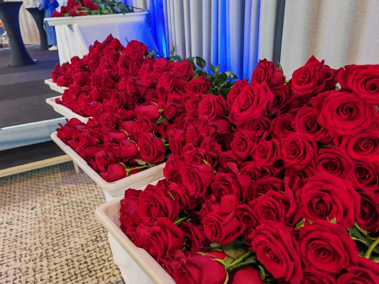 1718694303168039.jpg 1718694303168039.jpg